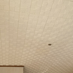 天井板/DAISO商品/DAISOはしご 天井板貼りました

洋室はプリント合板を…(3枚目)