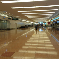 ガラガラの空港/異様な光景/お迎え/緊急事態宣言/羽田空港 こんなに人気のない空港初めて見た。

夜…(2枚目)