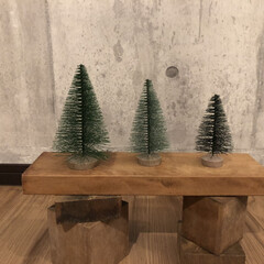 IKEA/クリスマスツリー/端材/DIY/雑貨/リビング IKEAで買ったツリー三姉妹。
雑貨屋さ…(1枚目)