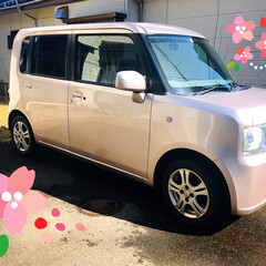 除菌/車検/花王リセッシュ除菌EXほのかなピュ.../代車/ピンク/おすすめアイテム/... 2020.2.25(火)…