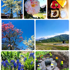 フォロー大歓迎/庭/主人実家/花/八海山/風景/... 2020.5.4(月)
…
