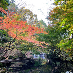 秋日和/青空/ドライブ/風景/紅葉/おでかけ 🚙ドライブがてら近場の🍁紅葉と綺麗な景色…(7枚目)
