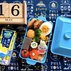 BRUNO弁当箱/3coins/シルク/フォロー大歓迎/お弁当/至福のひととき/... 5/16(木) 自分…