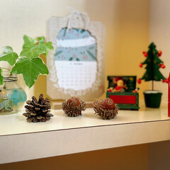 手作り/クリスマス/おうち時間/メリークリスマス/我が家のクリスマス2021/アテーナ/... トイレの飾り棚お気に入りの🎄クリスマス雑…