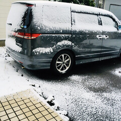 車/雪/フォロー大歓迎    2/8(金) 雪❄️
寒い朝、車に…(1枚目)