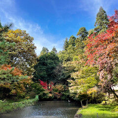 秋日和/青空/ドライブ/風景/紅葉/おでかけ 🚙ドライブがてら近場の🍁紅葉と綺麗な景色…(1枚目)