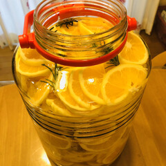 レモン/蜂蜜/氷砂糖/ローズマリー レモンシロップ　作りました♪

今年の庭…(1枚目)
