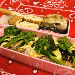 イワシ/ちくわ/厚揚げ/大根/卵焼き/菜花/... 今日のお弁当
ちらし寿司
しらす入り卵…
