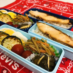 娘弁当/キュウリ/ズッキーニ/ゴボウ/シャケ/ミニトマト/... 今日のお弁当
家庭菜園で 大量にキュウ…
