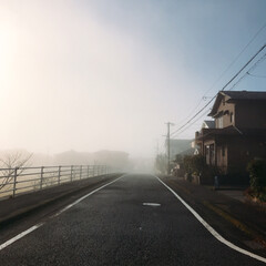 朝霧 珍しく朝霧が立ち込めてました。
今日は、…(3枚目)