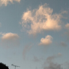 空/あけおめ/冬/おでかけ/風景 カインズからの帰りの空。
青白橙灰の色味…(2枚目)