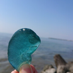 海が好き/シーグラス/おでかけ/風景 最近見つけたシーグラス達
透明のポコポコ…(2枚目)