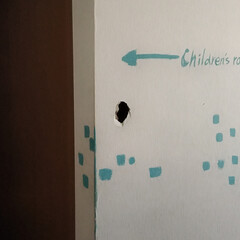 廃材利用/廃材/お片付け/DIY/リノベーション/キャットタワー 子供が穴を開けた壁、思い切ってニッチ風に…(2枚目)