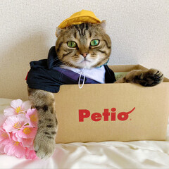 ペティオ ハッピークリーン 猫トイレのニオイ消臭&除菌 / ペティオ | ペティオ(ペット用)を使ったクチコミ「LIMIAさんから、ステキなpetio詰…」(5枚目)