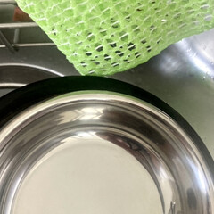ペット用食器洗いメッシュ 　食器のヌメリ取り 　びっくりフレッシュ グリーン BH-24 | サンコー(その他犬用品)を使ったクチコミ「まず当選したペット用食器洗いメッシュ
洗…」(5枚目)