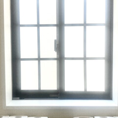 マスキングテープマット/格子窓DIY/階段/洋室/部屋全体/リビング/... 格子窓￼DIYシリーズ
マスキングテープ…(3枚目)