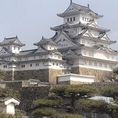 「久しぶりに行ってきました！世界遺産姫路城…」(2枚目)