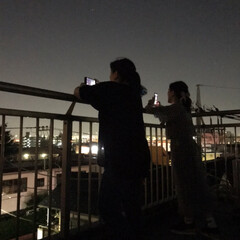両親/花火/令和の一枚/風景 昨夜 花火を観に行きました
実家の屋上で…(1枚目)
