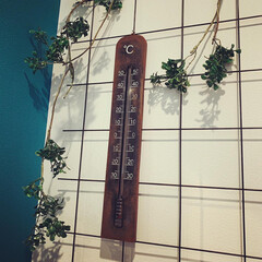 リミアの冬暮らし/セリア/100均/DIY/雑貨/ハンドメイド/... 今年、やっと温度計を買いました。
早速サ…(3枚目)