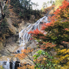 旅 日本百選に選ばれた姥が滝。
この時期は葉…(1枚目)