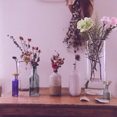 キャビネット/花瓶/zakka/ドライフラワー/ディスプレイ/100均/... 早く春が来て欲しい…
お花買ったので飾り…(1枚目)