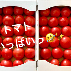感謝/トマトジュース/トマト/ぶどう 今日、農園で働いてる実家の母から届きまし…(3枚目)