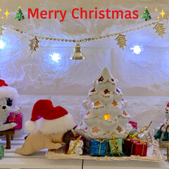 プレゼントボックス/クリスマスツリー/雪/フレンチブルドッグ/雪だるま/お気に入り/... ✨🎄Merry Christmas🎄✨
…(5枚目)