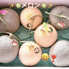 デザート/コーヒーフロート/バニラアイス/メロン/おうちカフェ お盆前に実家から届いた🍈メロン🍈❣️
青…