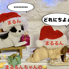 プレゼントボックス/クリスマスツリー/雪/フレンチブルドッグ/雪だるま/お気に入り/... ✨🎄Merry Christmas🎄✨
…(4枚目)