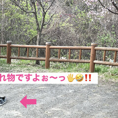 公園/桜/道東/ドライブ/お出かけ 土曜日、天気が良かったので🌸桜🌸を見られ…(7枚目)