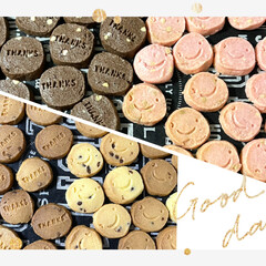 チョコチップクッキー/手作りクッキー/バレンタイン/ダイソー/セリア 💓Happy Valentine💓
久々…(4枚目)