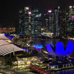 シンガポール/旅行/風景 シンガポール フライヤーズからの夜景です…(4枚目)