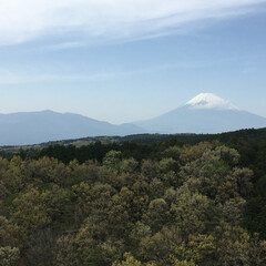 スカイウォーク/富士山 富士山 スカイウォークにて1(1枚目)