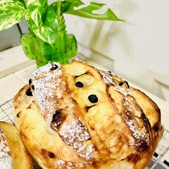 「自家製天然酵母パン🥖

カンパーニュ焼け…」(4枚目)