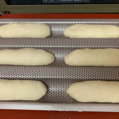 自家製天然酵母パン 今日のパンは、ミニフランス🥖
第二次発酵…(2枚目)