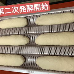 自家製天然酵母パン 今日のパンは、ミニフランス🥖
第二次発酵…(1枚目)