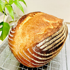 「久しぶりのカンパーニュ🥖

バヌトン型で…」(6枚目)