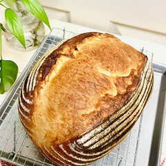 「久しぶりのカンパーニュ🥖

バヌトン型で…」(5枚目)