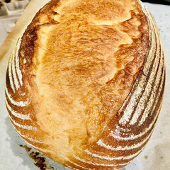 「久しぶりのカンパーニュ🥖

バヌトン型で…」(7枚目)