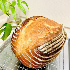 「久しぶりのカンパーニュ🥖

バヌトン型で…」(4枚目)