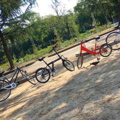 公園/自転車/ピクニック弁当/秋 寒くなる前に… 
友達とピクニックをしま…(3枚目)