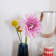 アウトレット ホルムガード フローラ ベース 12cm ロング ブルー Holmegaard Flora vase(花瓶、花器)を使ったクチコミ「7月のお花は初めて見るカタチのガーベラ
…」(2枚目)