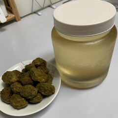 ミニトマト/家庭菜園/ミニトマトのマリネ/梅シュッ/梅シロップ 梅シロップ💕
1ヶ月ほど前に作ってた梅シ…