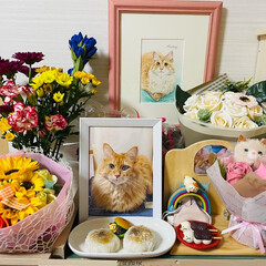 お花/月命日/コンコンブル/猫大好き おはようございます^ - ^

台風🌪の…(1枚目)