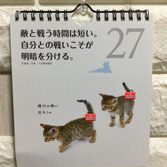 納豆/ネット検索/ニャンコの名言/百均/住まい おはようございます☁️
今日の名言 誰も…