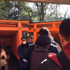 あけおめ/猫/おでかけ/風景 元旦に伏見稲荷初詣でに行きました。相変わ…(2枚目)