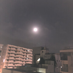 満月/令和の一枚/フォロー大歓迎/LIMIAファンクラブ/風景/暮らし 西日本では、台風で大変なことになっている…(1枚目)