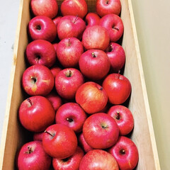 吹雪/寒波/木箱/青森りんご/ありがとうございました 🍎青森りんご🍎
今年一年、皆さんのいい…