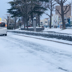 雪景色 ⛄️朝起きたら真っ白❄️
月曜日から渋滞…(1枚目)