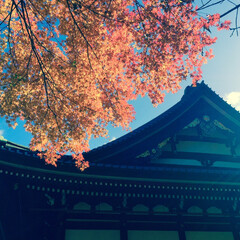国内旅行/日本/写真/旅行/京都 きやうと

5年前とかに「あ、今から京都…(5枚目)